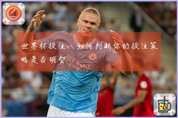 世界杯投注，如何判断你的投注策略是否明智