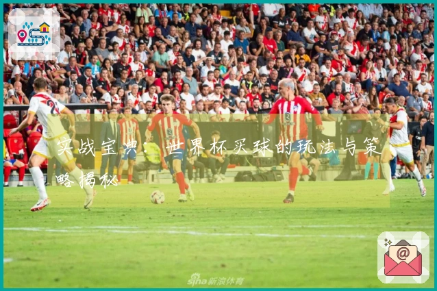 实战宝典：世界杯买球的玩法与策略揭秘