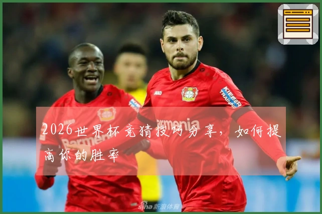 2026世界杯竞猜技巧分享，如何提高你的胜率