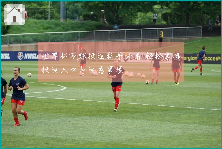 世界杯滚球投注新手必看 轻松掌握投注入口与注意事项