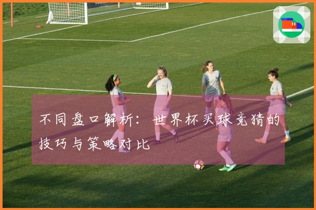 不同盘口解析：世界杯买球竞猜的技巧与策略对比