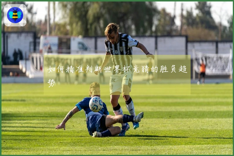 如何精准判断世界杯竞猜的胜负趋势