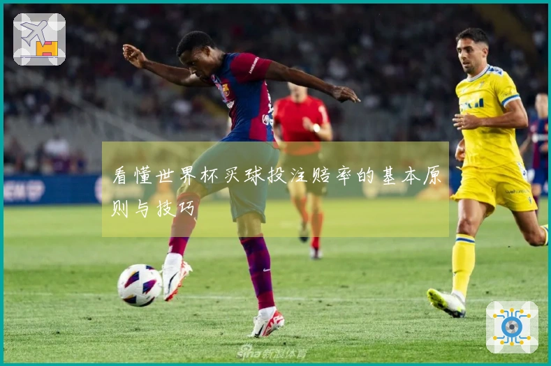 看懂世界杯买球投注赔率的基本原则与技巧