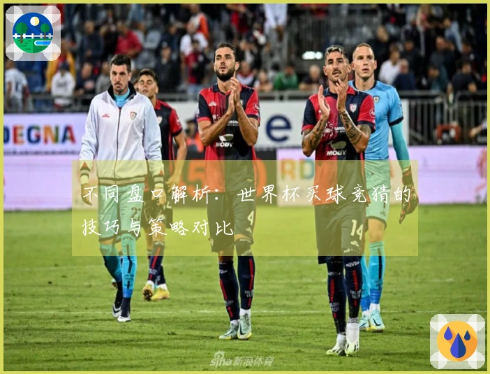 不同盘口解析：世界杯买球竞猜的技巧与策略对比